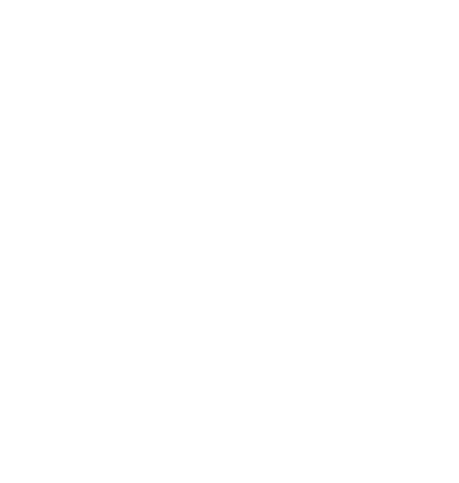 EU logo