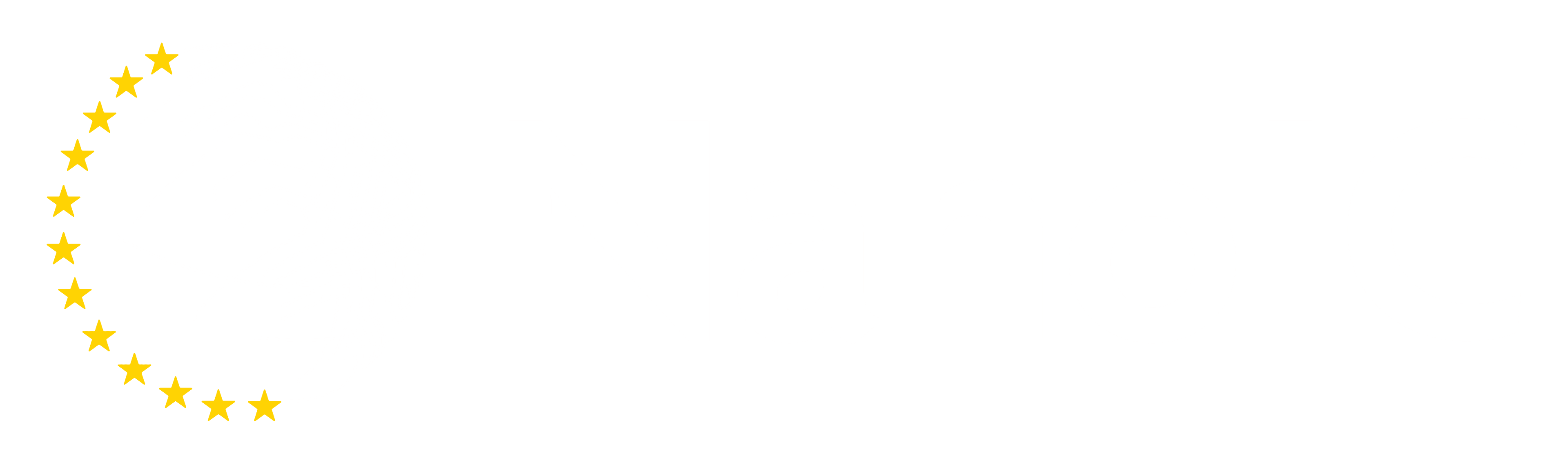 NanoIC logo